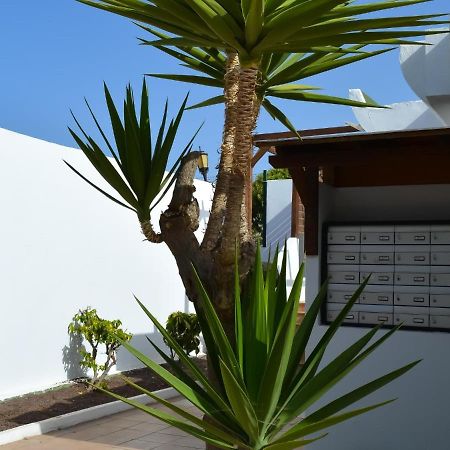 Dunasol 341 By Best Holidays Fuerteventura Corralejo Buitenkant foto